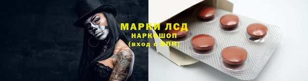 СК Липки