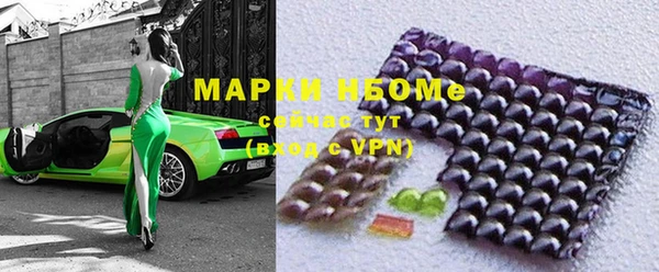 стаф Верея