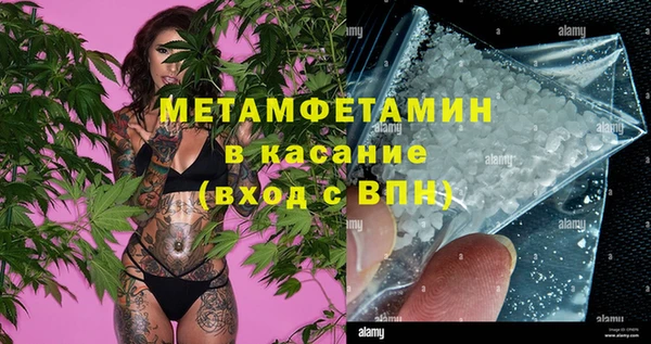 каннабис Ессентукская