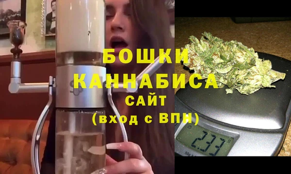 стаф Верея